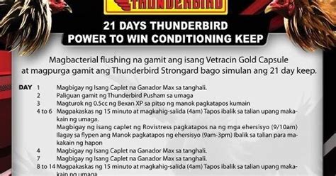 thunderbird 14 days conditioning method|Tukaan sa Ilocos: 21 DAYS NATURAL CONDITIONING .